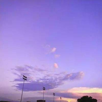 js555888金沙截图